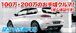 110928-100-200car_cp_bnrAR